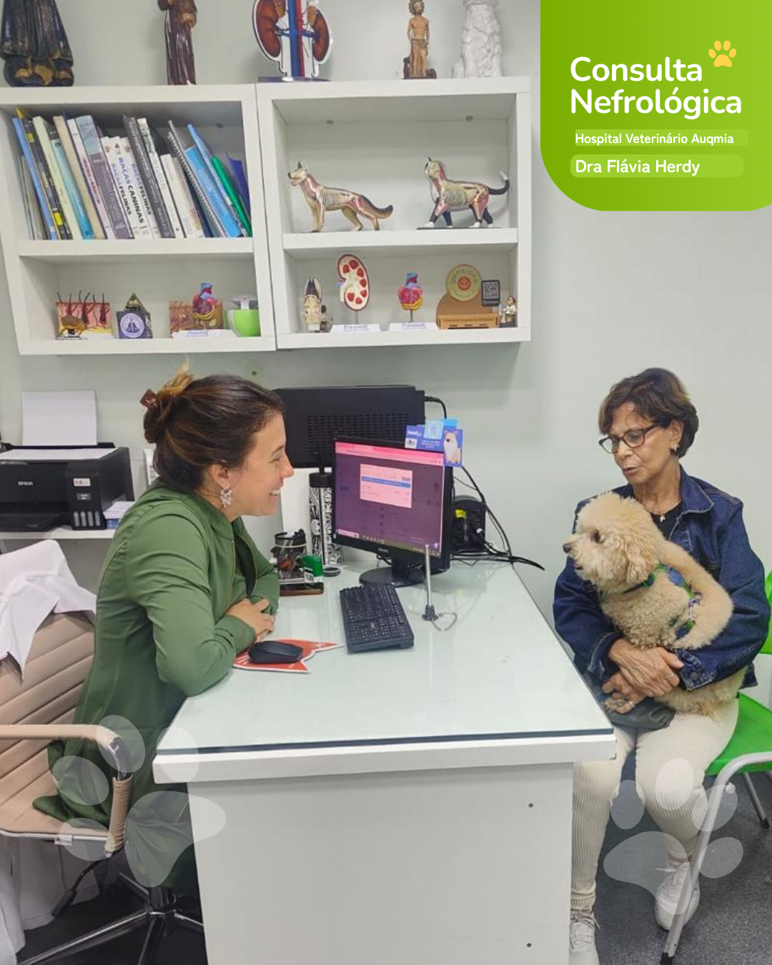 Post instagram para médico veterinário divertido amarelo e azul (Post para Instagram (45)) (12)